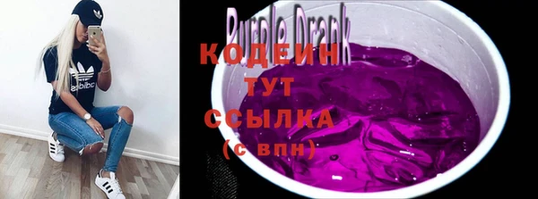 ECSTASY Алзамай