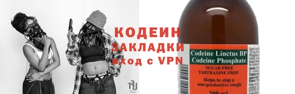 ECSTASY Алзамай