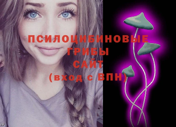 ECSTASY Алзамай