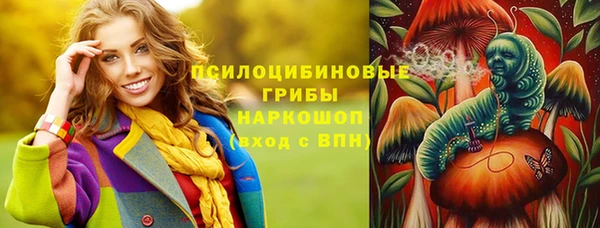 ECSTASY Алзамай