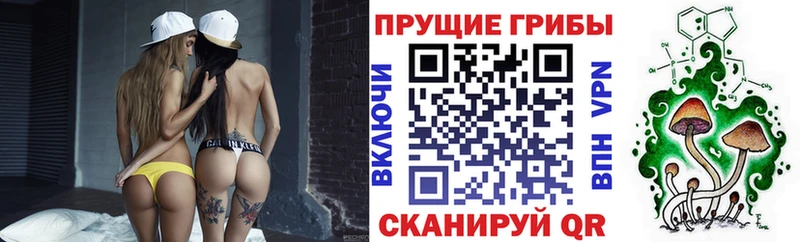 omg маркетплейс  Белоозёрский  Псилоцибиновые грибы прущие грибы 